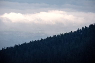 Batı Karpat Dağları'nda sisli orman manzarasına. Sisli gün batımı, Tatra uzak ufuk. Erken sonbahar Slovakya'da