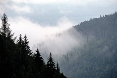Batı Karpat Dağları'nda sisli orman manzarasına. Sisli gün batımı, Tatra uzak ufuk. Erken sonbahar Slovakya'da