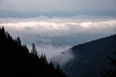 Batı Karpat Dağları'nda sisli orman manzarasına. Sisli gün batımı, Tatra uzak ufuk. Erken sonbahar Slovakya'da