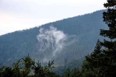 Batı Karpat Dağları'nda sisli orman manzarasına. Sisli gün batımı, Tatra uzak ufuk. Erken sonbahar Slovakya'da