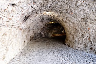 Harabeleri eski uçurumdaki tuğla ve taş castle terk edilmiş. mimari ayrıntılar Slovakya