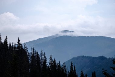 Batı Karpat Dağları'nda sisli orman manzarasına. Sisli gün batımı, Tatra uzak ufuk. Erken sonbahar Slovakya'da