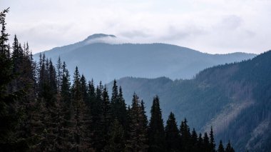 Batı Karpat Dağları'nda sisli orman manzarasına. Sisli gün batımı, Tatra uzak ufuk. Erken sonbahar Slovakya'da