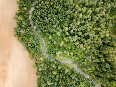 drone görüntü. havadan görünümü alanları ile kırsal alan ve yılan nehir ile orman ormanda. Letonya, Viesata Nehri