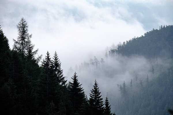 панорамный вид на туманный лес в западных Карпатах. Татры в туманном закате, дальний горизонт. Словакия в начале осени
