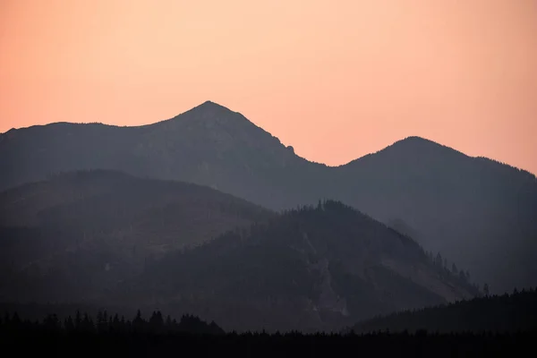 Панорамні Туманні Лісу Західній Карпатських Гір Tatra Туманний Sunset Далекому — стокове фото