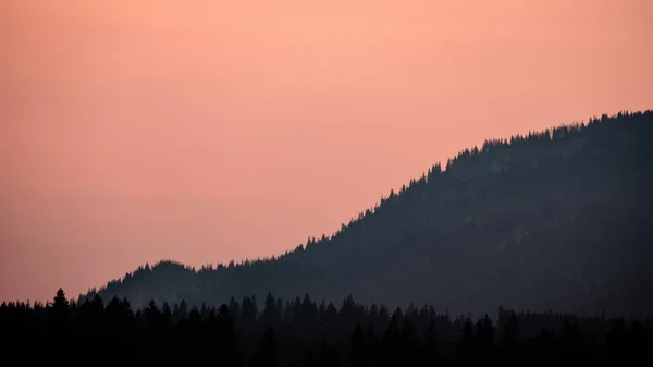 Панорамні Туманні Лісу Західній Карпатських Гір Tatra Туманний Sunset Далекому — стокове фото