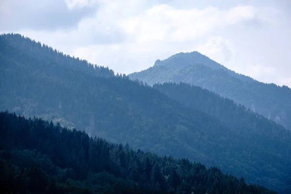 Panoramic View Misty Forest Western Carpathian Mountains Tatra Foggy Sunset — Stock Photo, Image