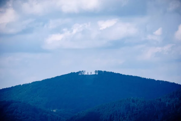 Panoramisch Uitzicht Mistige Bos Westelijke Karpaten Tatra Mistige Zonsondergang Verre — Stockfoto