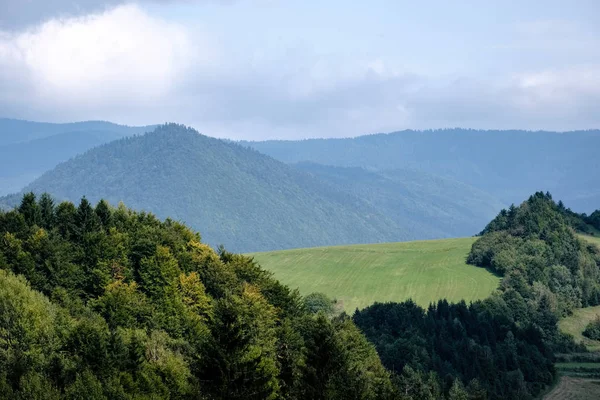 Panoramiczny Widok Mglisty Las Zachodnich Karpatach Tatra Mglisty Zachód Słońca — Zdjęcie stockowe