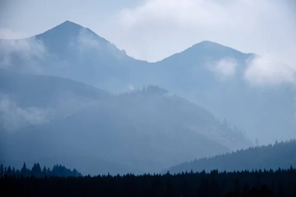 Batı Karpat Dağları Nda Sisli Orman Manzarasına Sisli Gün Batımı — Stok fotoğraf