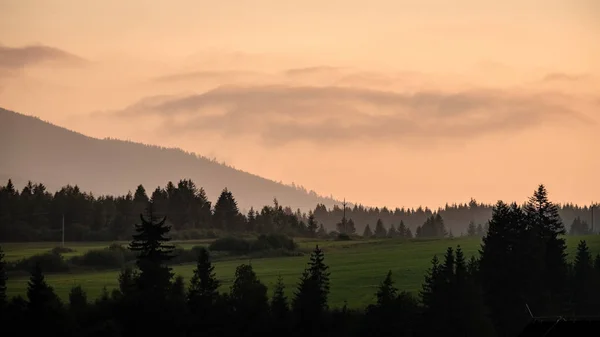 Panoramiczny Widok Mglisty Las Zachodnich Karpatach Tatra Mglisty Zachód Słońca — Zdjęcie stockowe