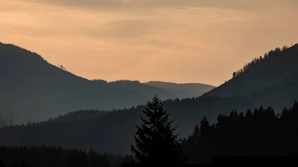 Panoramatický Pohled Mlžný Les Západních Karpat Tatra Mlhavé Západu Slunce — Stock fotografie
