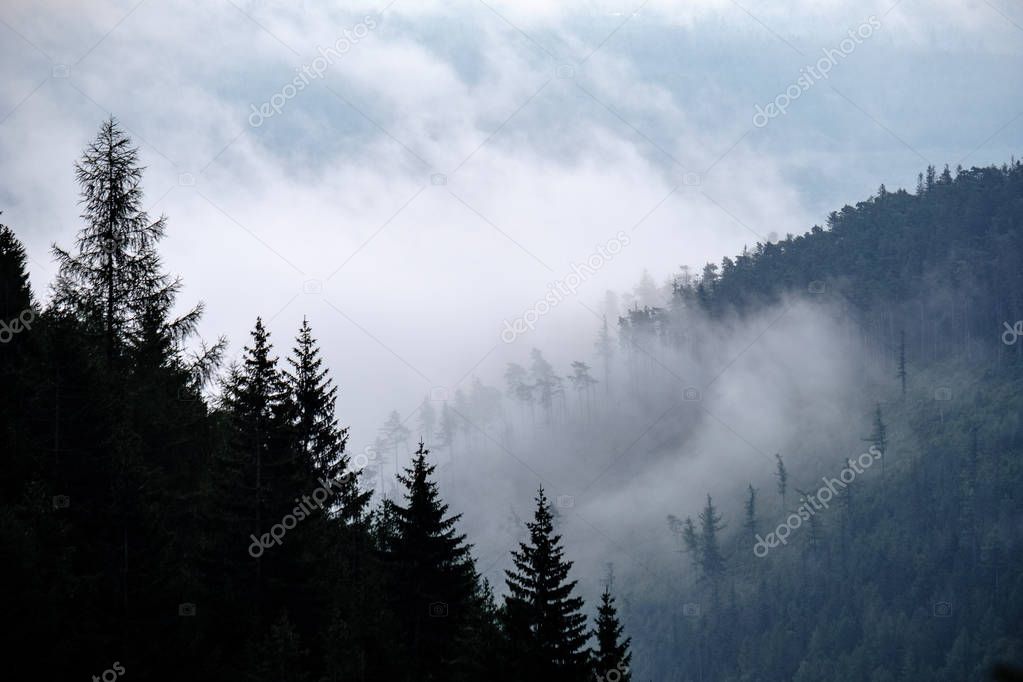 panoramic view of misty forest in western carpathian mountains. Tatra in foggy sunset, far horizon. Slovakia in early autumn