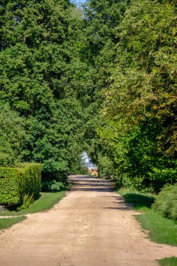 Yaz aylarında köy çakıl yol olarak kırsal orman ağaçları saran ve bulutlar gökyüzünde