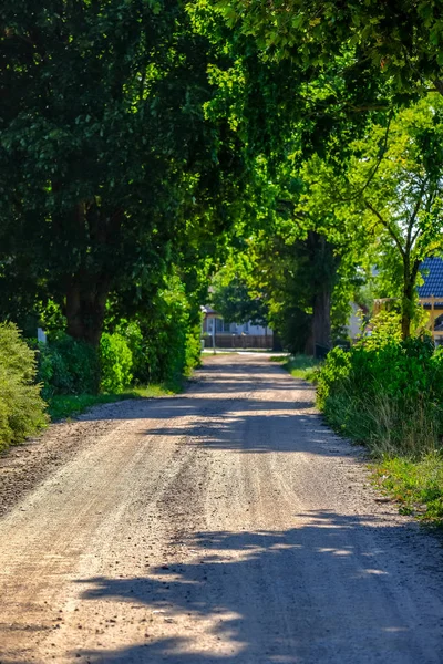 Simple Country Gravel Road Summer Countryside Forest Trees Clouds Sky — Stock Photo, Image