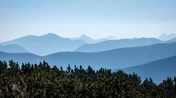 Westkarpaten Berggipfel Herbst Bedeckt Mit Nebel Oder Wolken Mit Blauer — Stockfoto