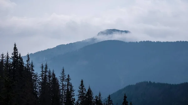 Batı Karpat Dağları Nda Sisli Orman Manzarasına Sisli Gün Batımı — Stok fotoğraf