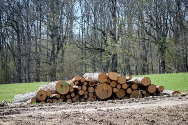 büyük yangın ahşap kırsal yeşil çim zemin üzerine yığını