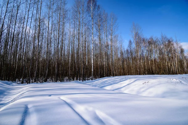 Frozen Countryside Fields Forest Fresh Snow Lines Bright Sun Winter — Stock Photo, Image