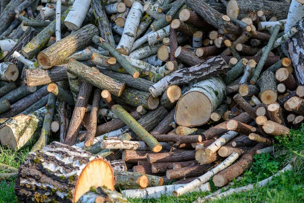 Large Pile Fresh Fire Wood Logs Countryside Summer — Stock Photo, Image