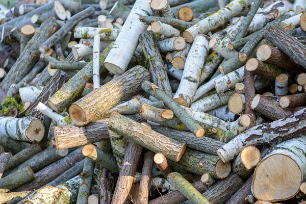 Large Pile Fresh Fire Wood Logs Countryside Summer — Stock Photo, Image