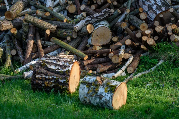Large Pile Fresh Fire Wood Logs Countryside Summer — Stock Photo, Image