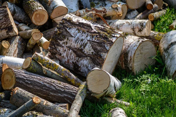 Large Pile Fire Wood Countryside Green Grass Background — Stock Photo, Image