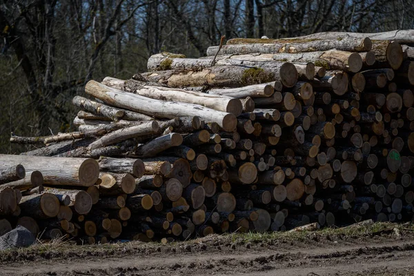 Grote Stapel Brandhout Platteland Achtergrond Van Een Groen Gras — Stockfoto