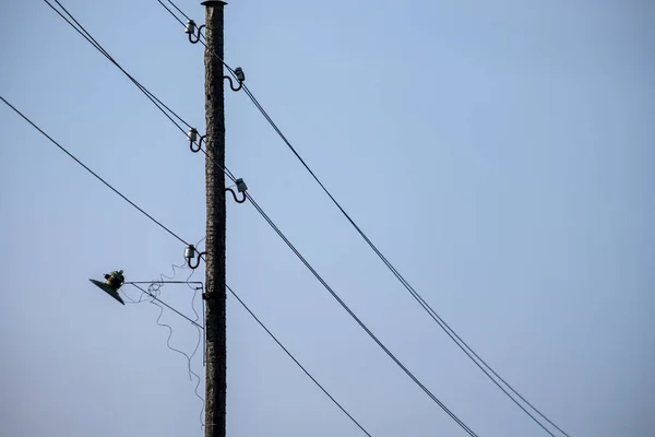 Postes Electricidad Con Cables Campo Oscuro Cielo Nocturno — Foto de Stock