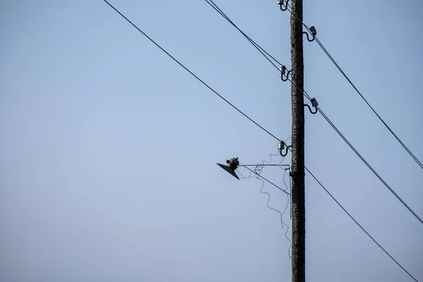 Elektriciteit Stokken Met Draden Platteland Een Donkere Nachtelijke Hemel — Stockfoto