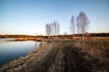 çim ve ağaçların bahar kırsal olay yerinde göl kıyısı gün temizleyin