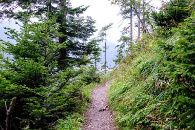 Slovakya'daki tatra Dağları'nda yürüyüş iz. önce biraz bulutlu sonbahar, açık gökyüzü yaz görünümünde mounatin