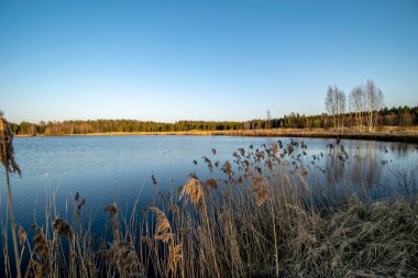 Göl kenarında bents günbatımı içinde. ile soyut resim arka plan bulanıklık