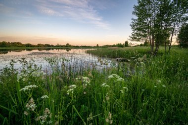 ağaçlar ve ev kıyısında dramatik renkli gökyüzü gün batımında çevrili gölet ile kırsal manzara 
