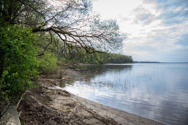 çim ve ağaçların bahar kırsal olay yerinde göl kıyısı gün temizleyin
