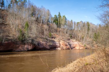 çim ve ağaçların bahar kırsal olay yerinde göl kıyısı gün temizleyin