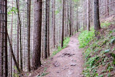 Slovakya'daki tatra Dağları'nda yürüyüş iz. önce biraz bulutlu sonbahar, açık gökyüzü yaz görünümünde mounatin