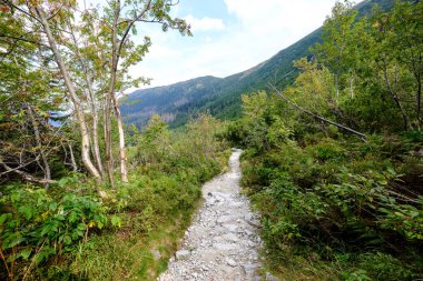 Slovakya'daki tatra Dağları'nda yürüyüş iz. önce biraz bulutlu sonbahar, açık gökyüzü yaz görünümünde mounatin