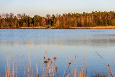 Göl kenarında bents günbatımı içinde. ile soyut resim arka plan bulanıklık