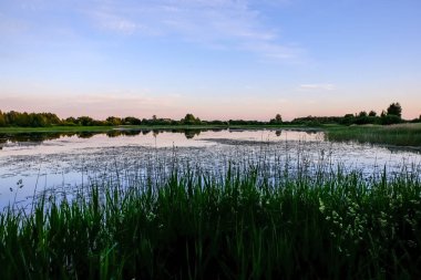 ağaçlar ve ev kıyısında dramatik renkli gökyüzü gün batımında çevrili gölet ile kırsal manzara 