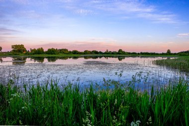 ağaçlar ve ev kıyısında dramatik renkli gökyüzü gün batımında çevrili gölet ile kırsal manzara 