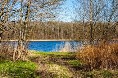 çim ve ağaçların bahar kırsal olay yerinde göl kıyısı gün temizleyin