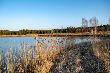 Göl kenarında bents günbatımı içinde. ile soyut resim arka plan bulanıklık