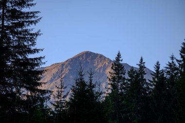 sabah ışık tepe üstleri ve dağlar Tatra Slovakya, ormanlarda yükselip ışık ilk ışınları