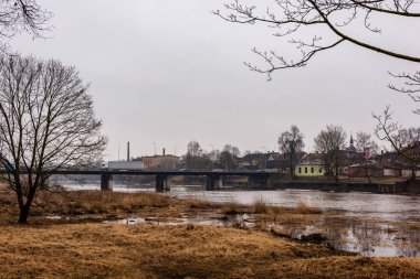 çim ve ağaçların bahar kırsal olay yerinde göl kıyısı gün temizleyin