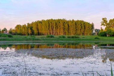 ağaçlar ve ev kıyısında dramatik renkli gökyüzü gün batımında çevrili gölet ile kırsal manzara 