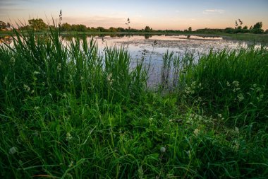 ağaçlar ve ev kıyısında dramatik renkli gökyüzü gün batımında çevrili gölet ile kırsal manzara 