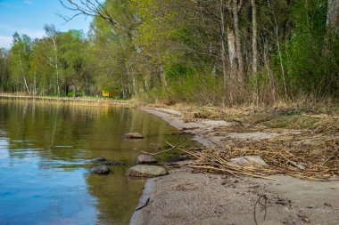 çim ve ağaçların bahar kırsal olay yerinde göl kıyısı gün temizleyin