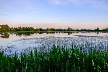 ağaçlar ve ev kıyısında dramatik renkli gökyüzü gün batımında çevrili gölet ile kırsal manzara 